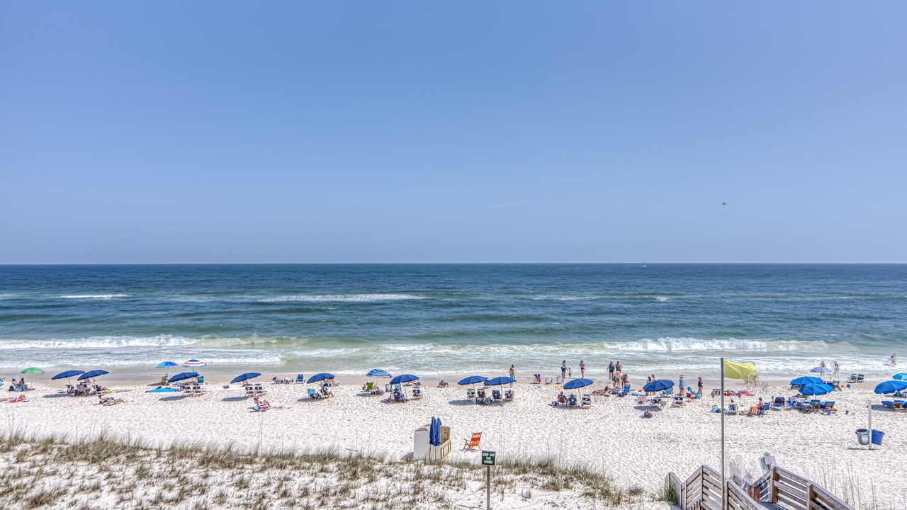 Photo of Others in Gulf Shores