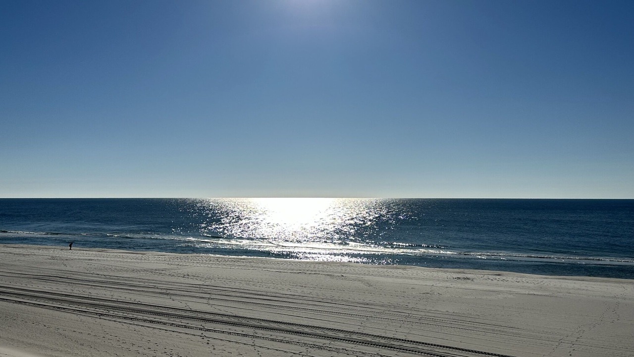 Photo of Others in Gulf Shores