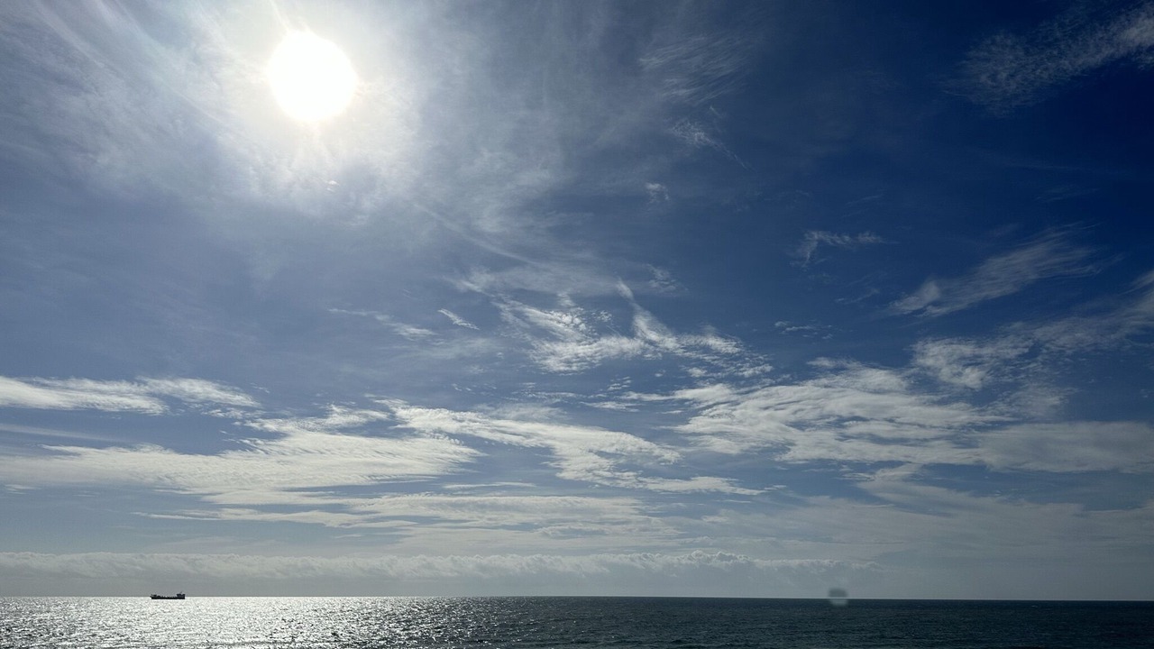 Photo of Others in Gulf Shores