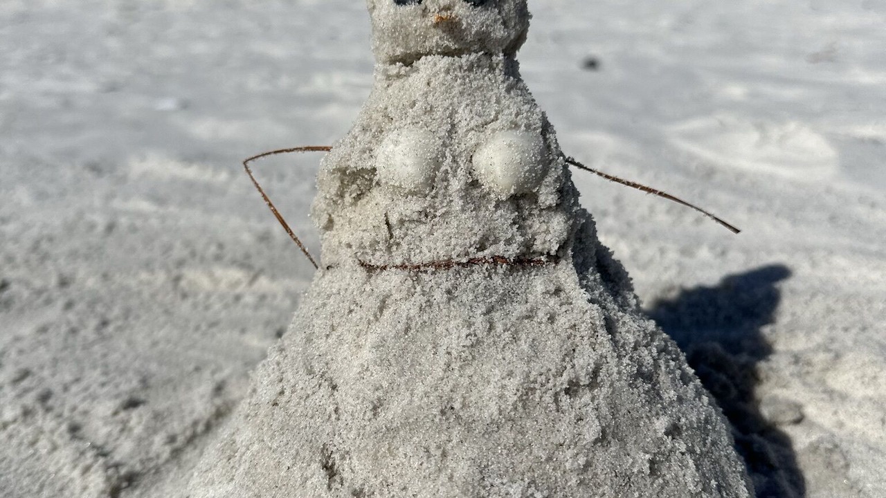 Photo of Others in Gulf Shores