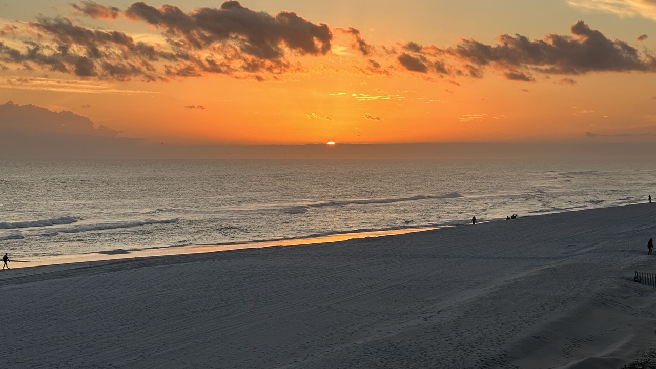 Photo of Others in Gulf Shores