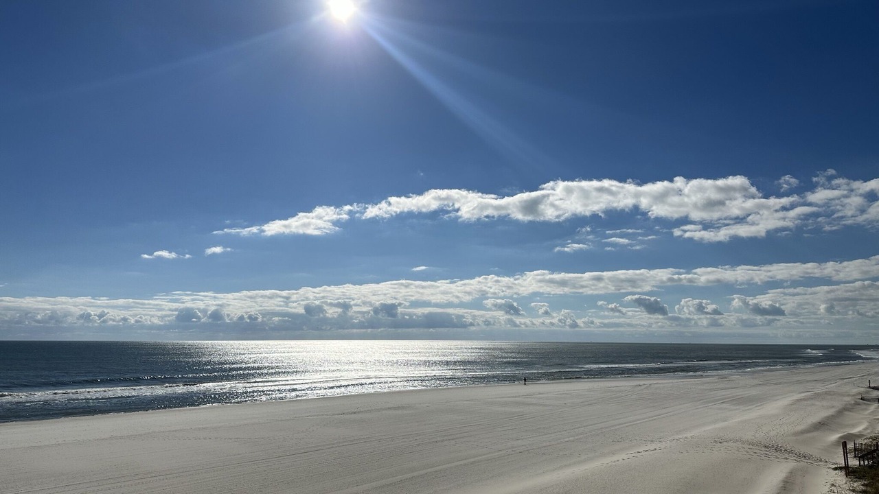 Photo of Others in Gulf Shores