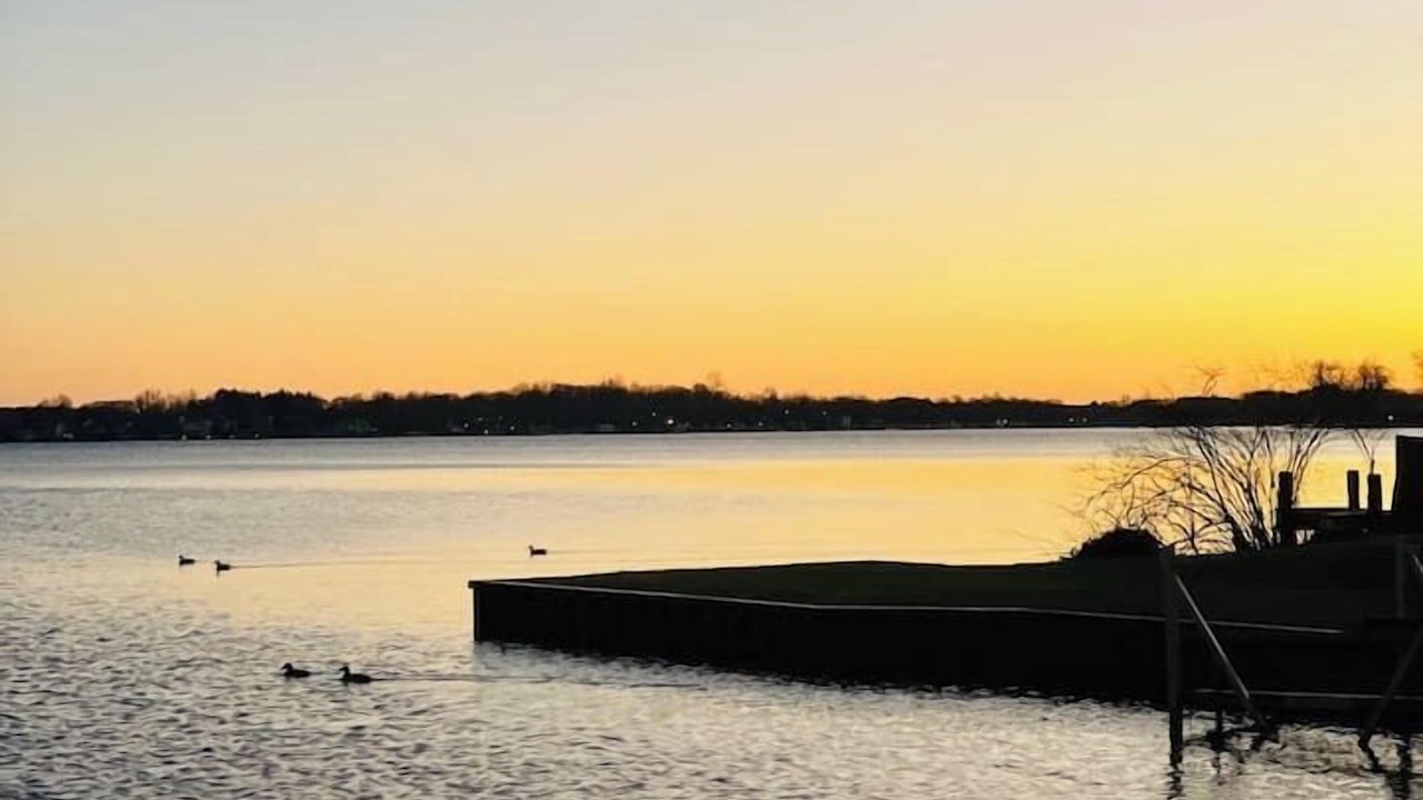 Photo of Others in Paw Paw Lake