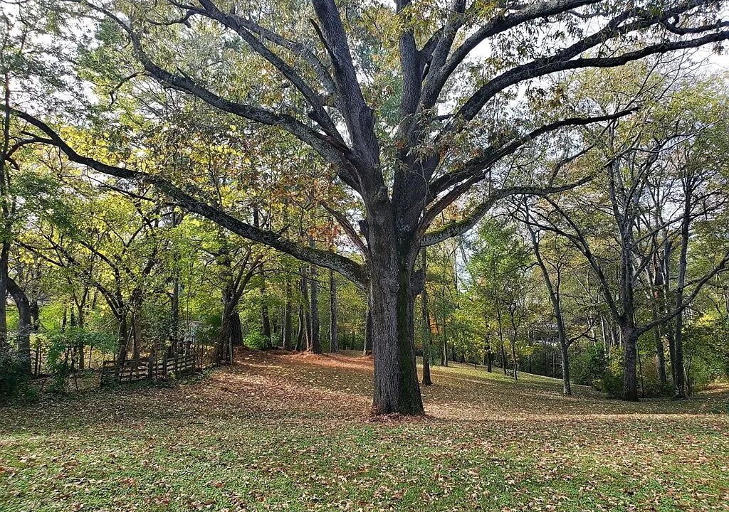 Photo of Outdoor in North Florence