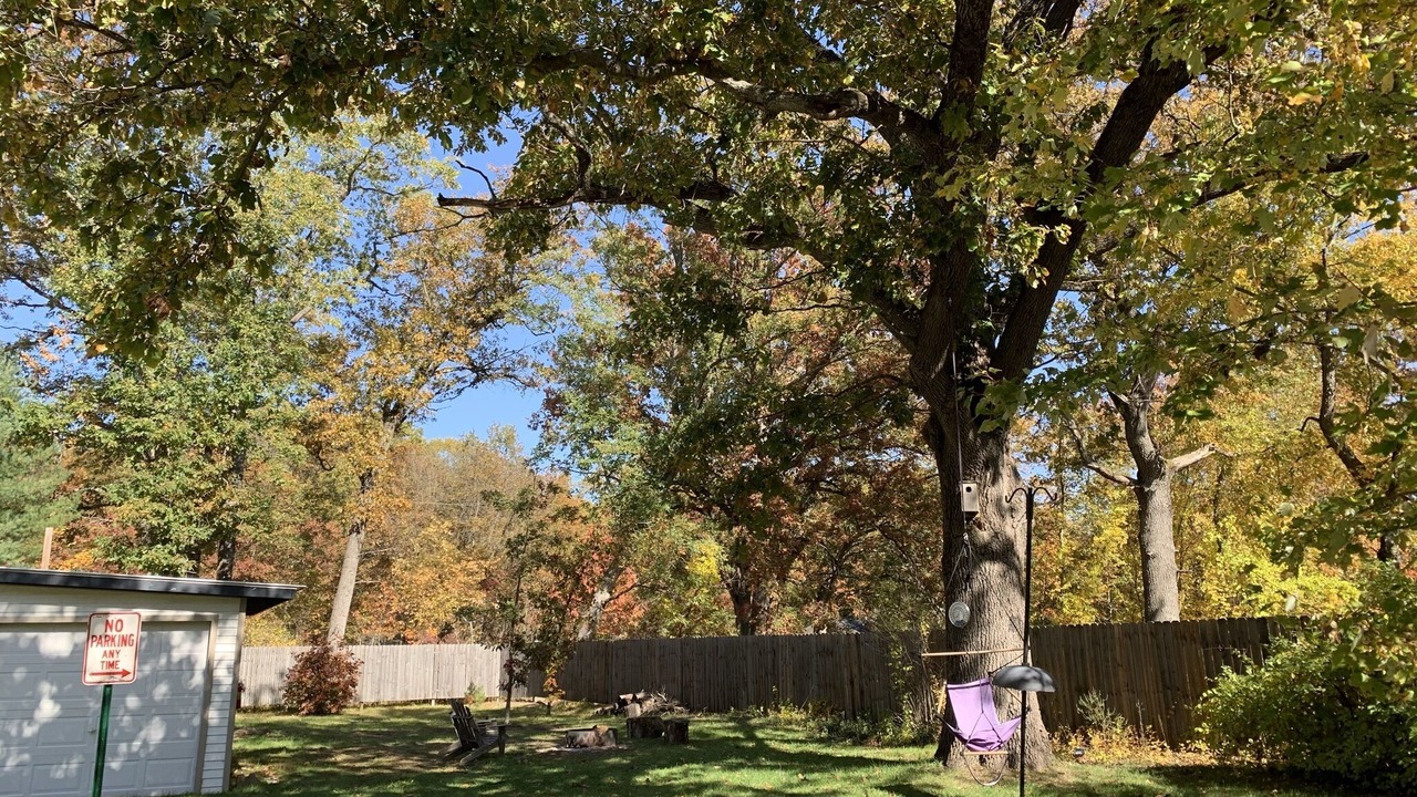 Photo of Outdoor in Woodland Park
