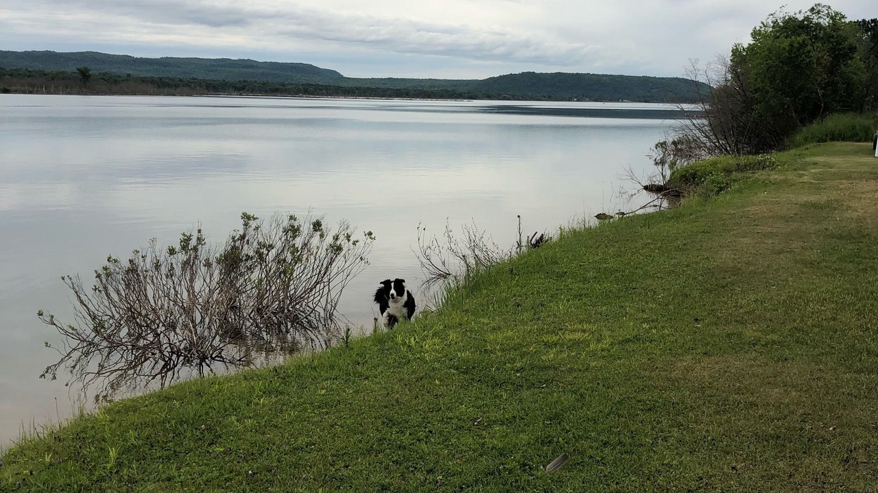 Photo of Others in Sault Ste. Marie
