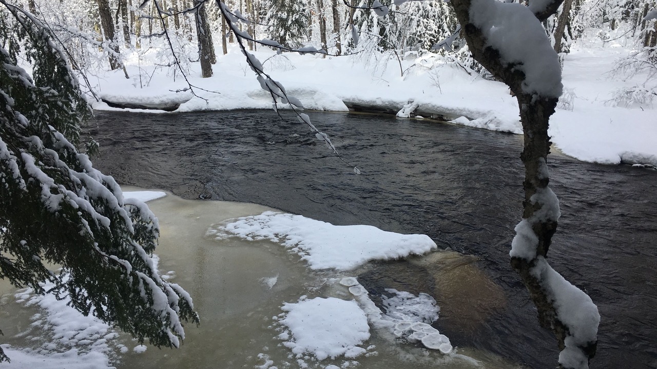 Photo of Outdoor in Deerton