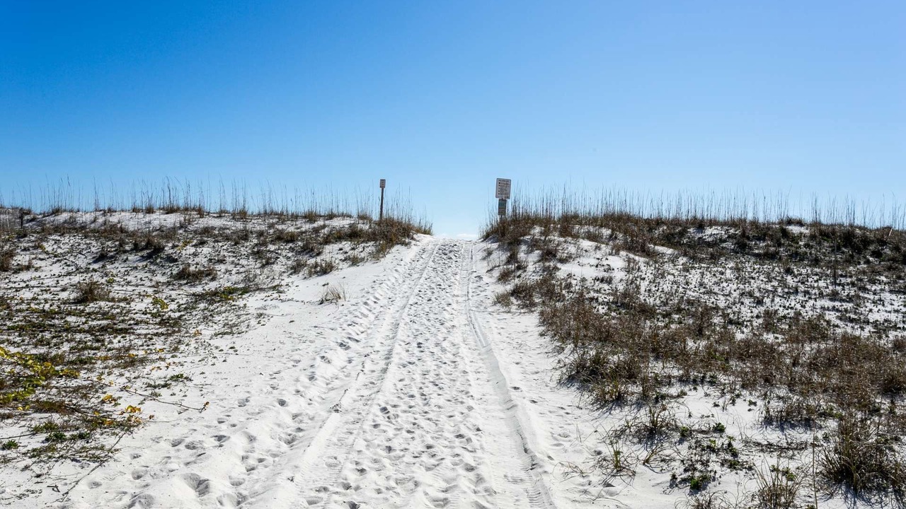 Photo of Others in Pensacola Beach