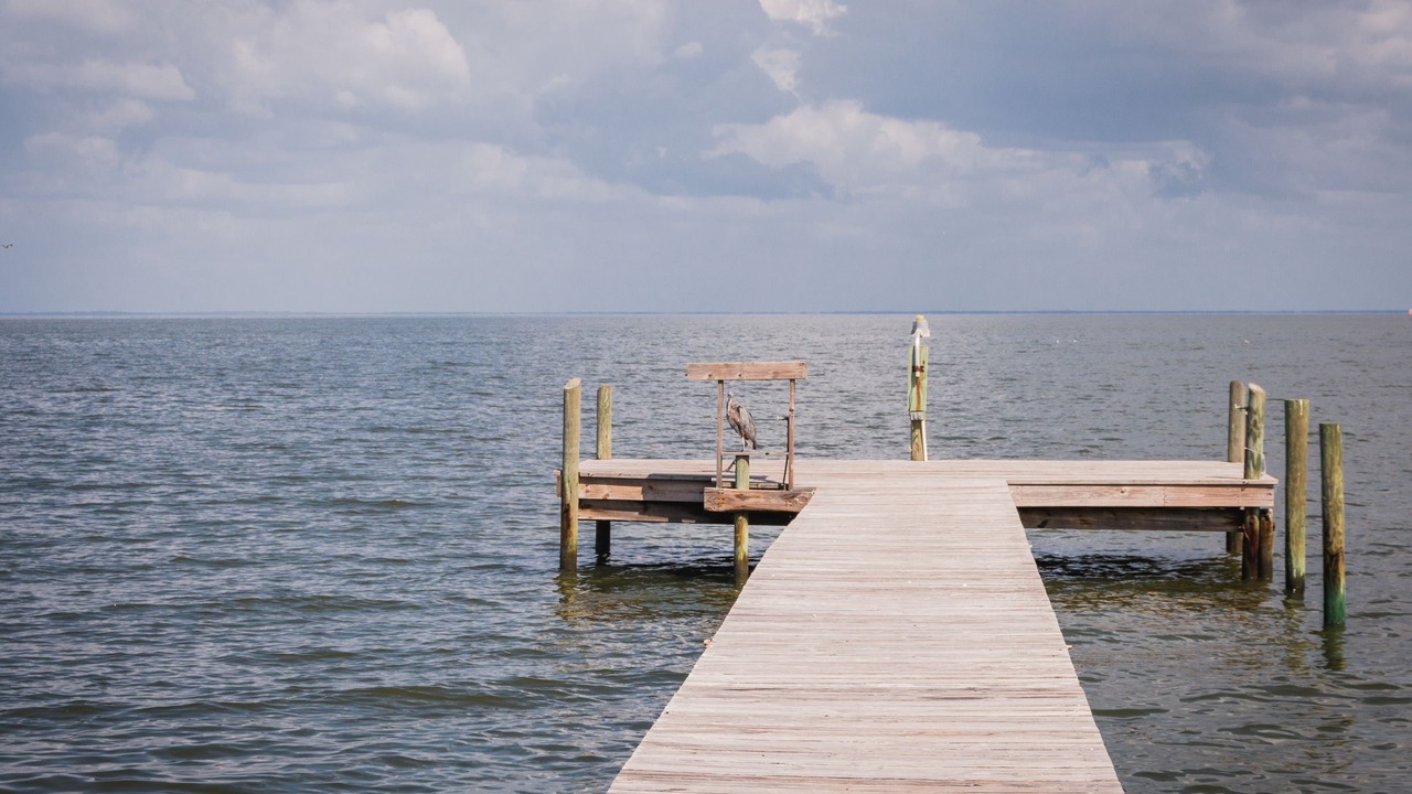 Photo of Others in Fort Morgan