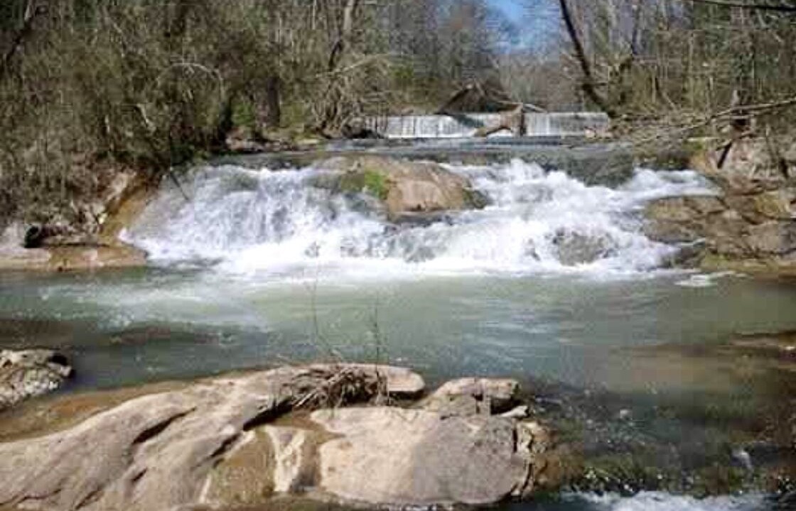 Photo of Others in Dandridge