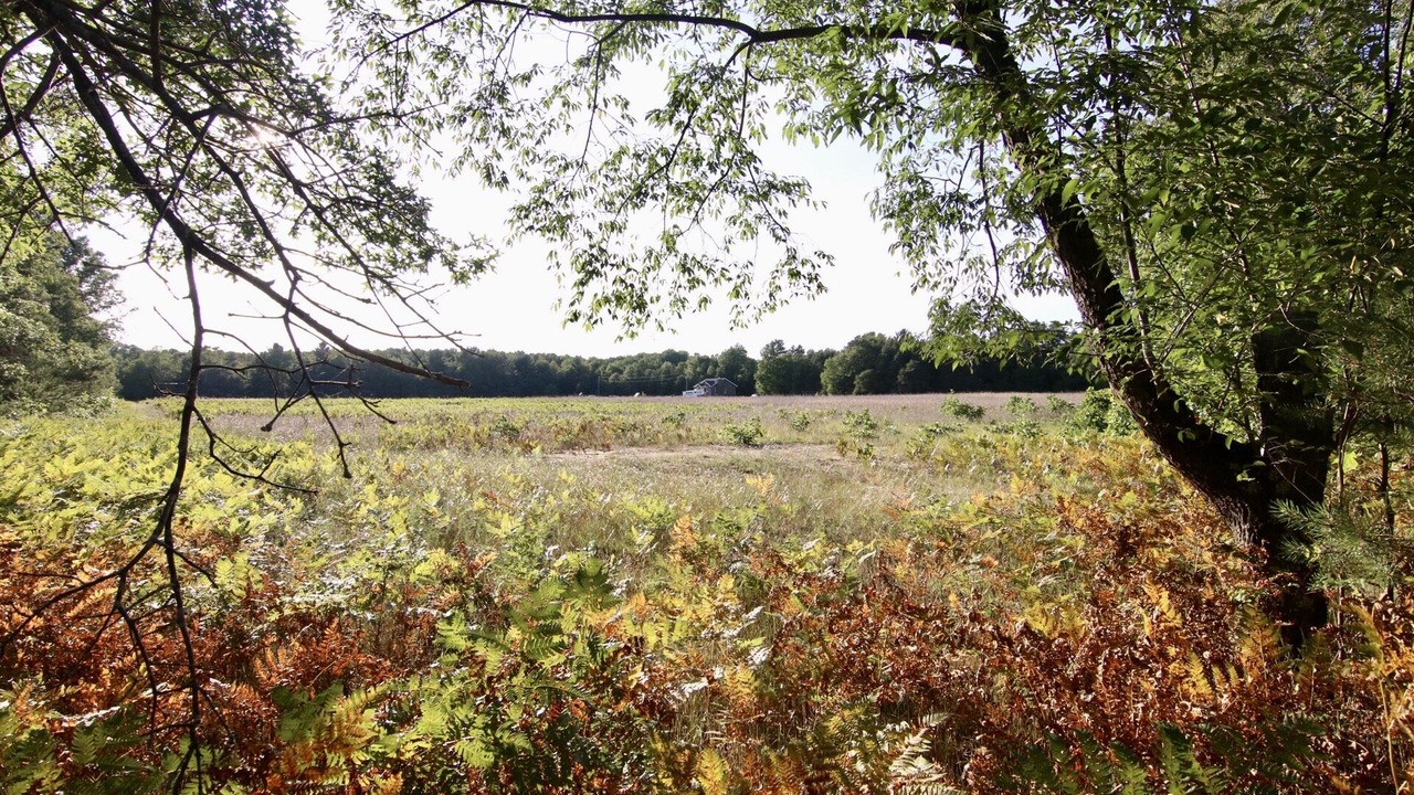 Photo of Outdoor in Montague