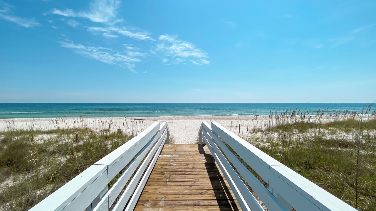 Photo of Others in Gulf Shores