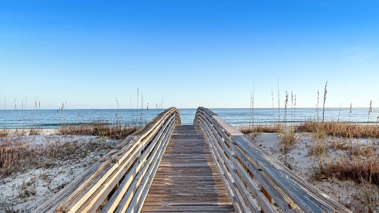 Photo of Others in Gulf Shores
