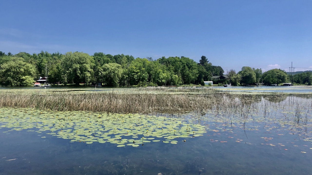 Photo of Others in Lake Leelanau