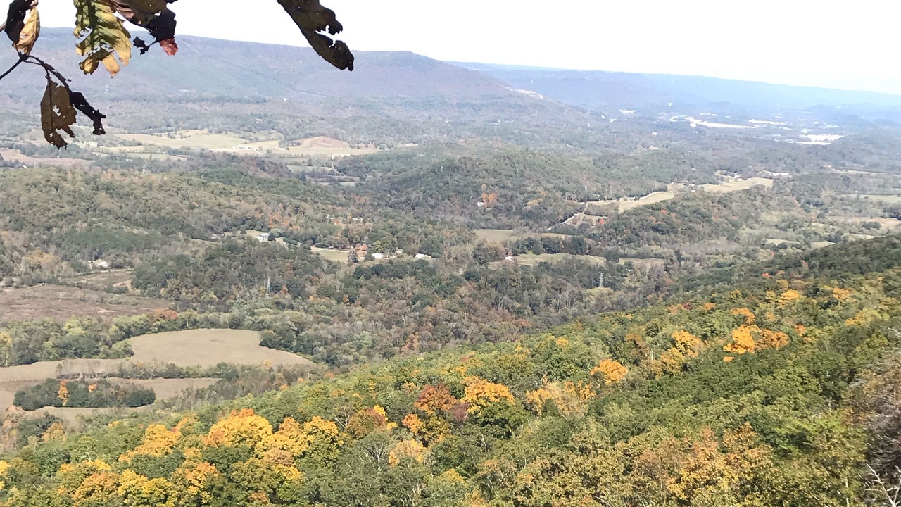 Photo of Others in Lookout Mountain