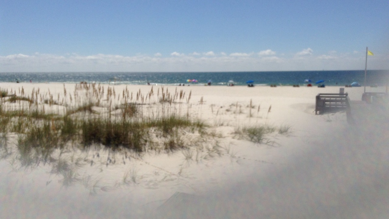 Photo of Others in Fort Morgan