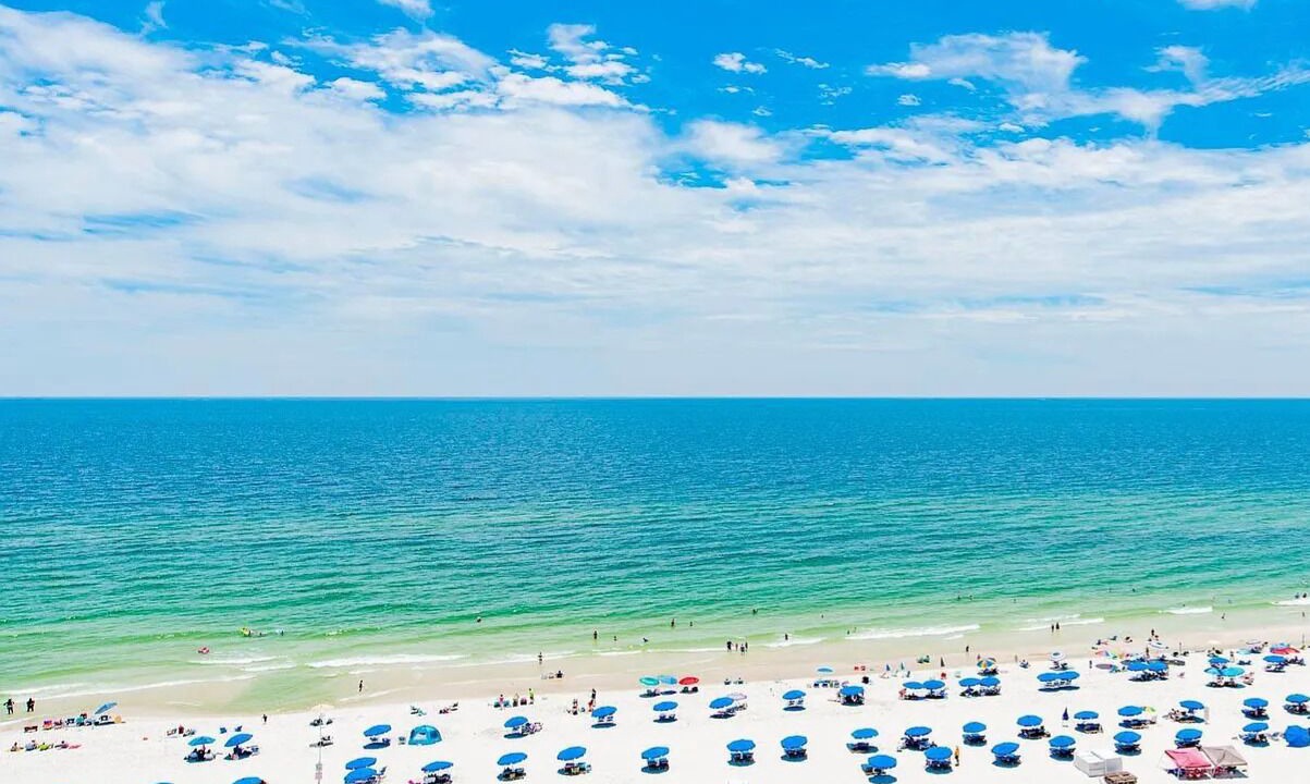 Photo of Others in Orange Beach