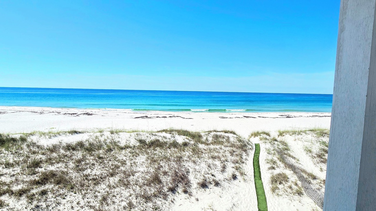Photo of Others in Gulf Shores