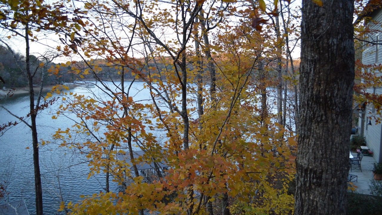 Photo of Outdoor in Crane Hill