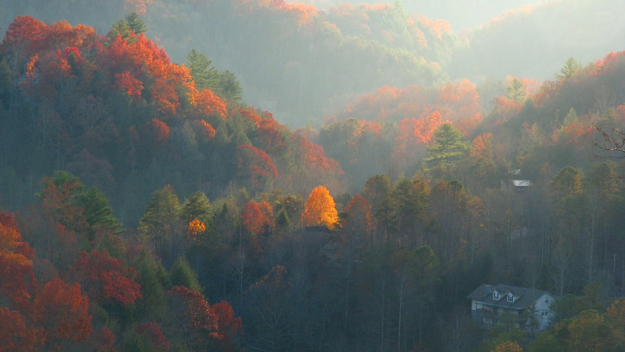 Photo of Others in Black Bear Falls