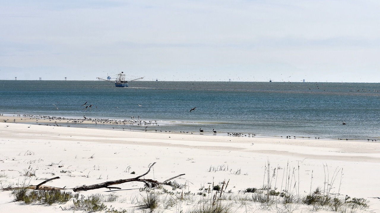 Photo of Others in Dauphin Island