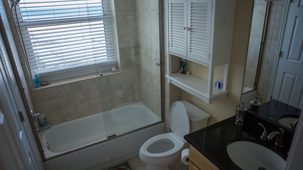Photo of Bathroom in Ono Island