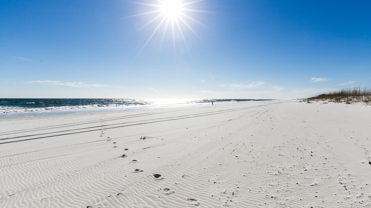Photo of Others in Pensacola Beach
