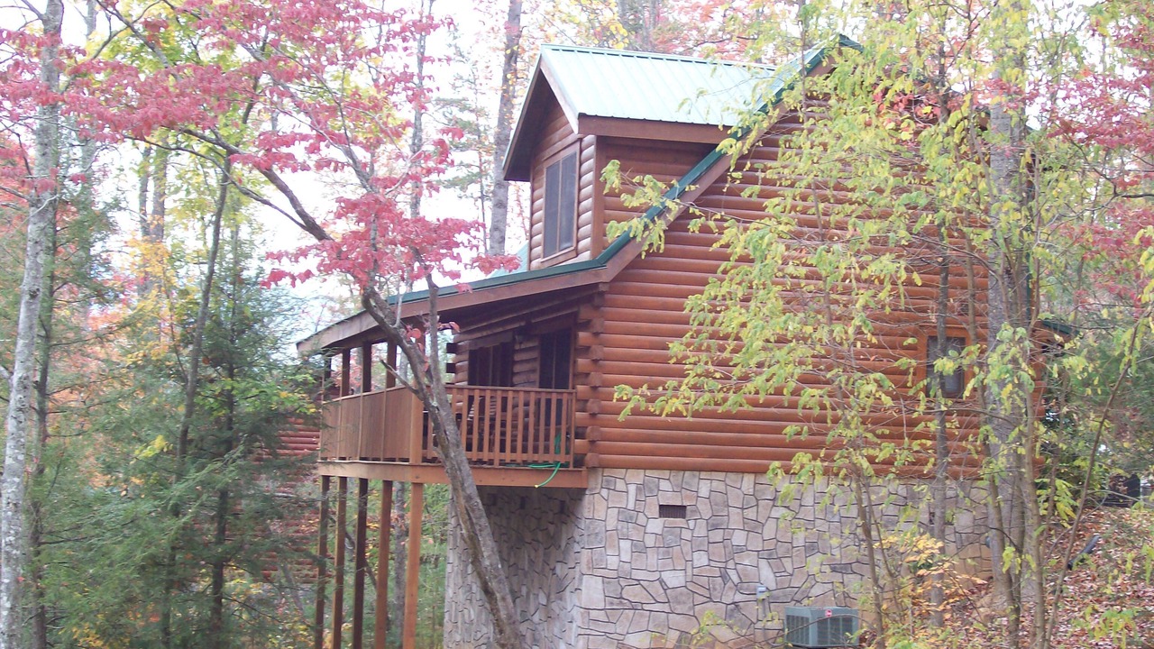 Photo of Others in Black Bear Falls