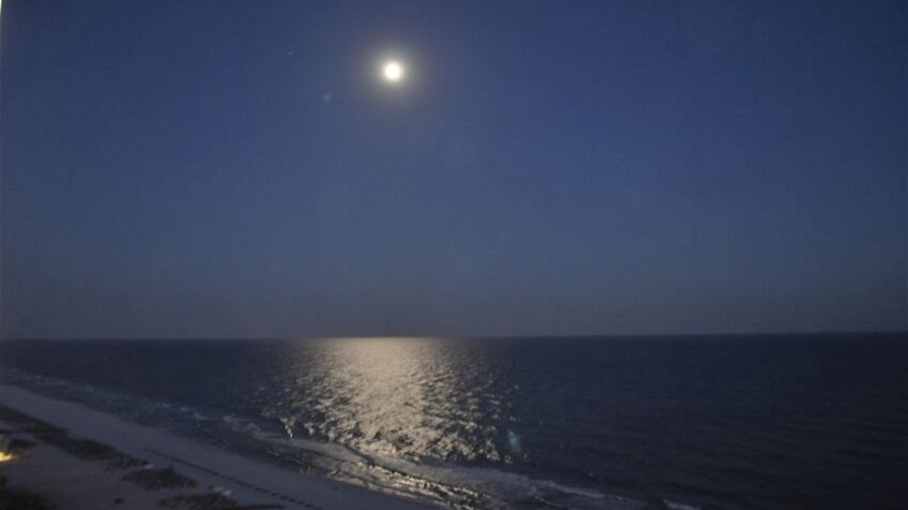 Photo of Others in Pensacola Beach