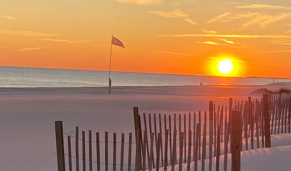Photo of Others in Orange Beach East