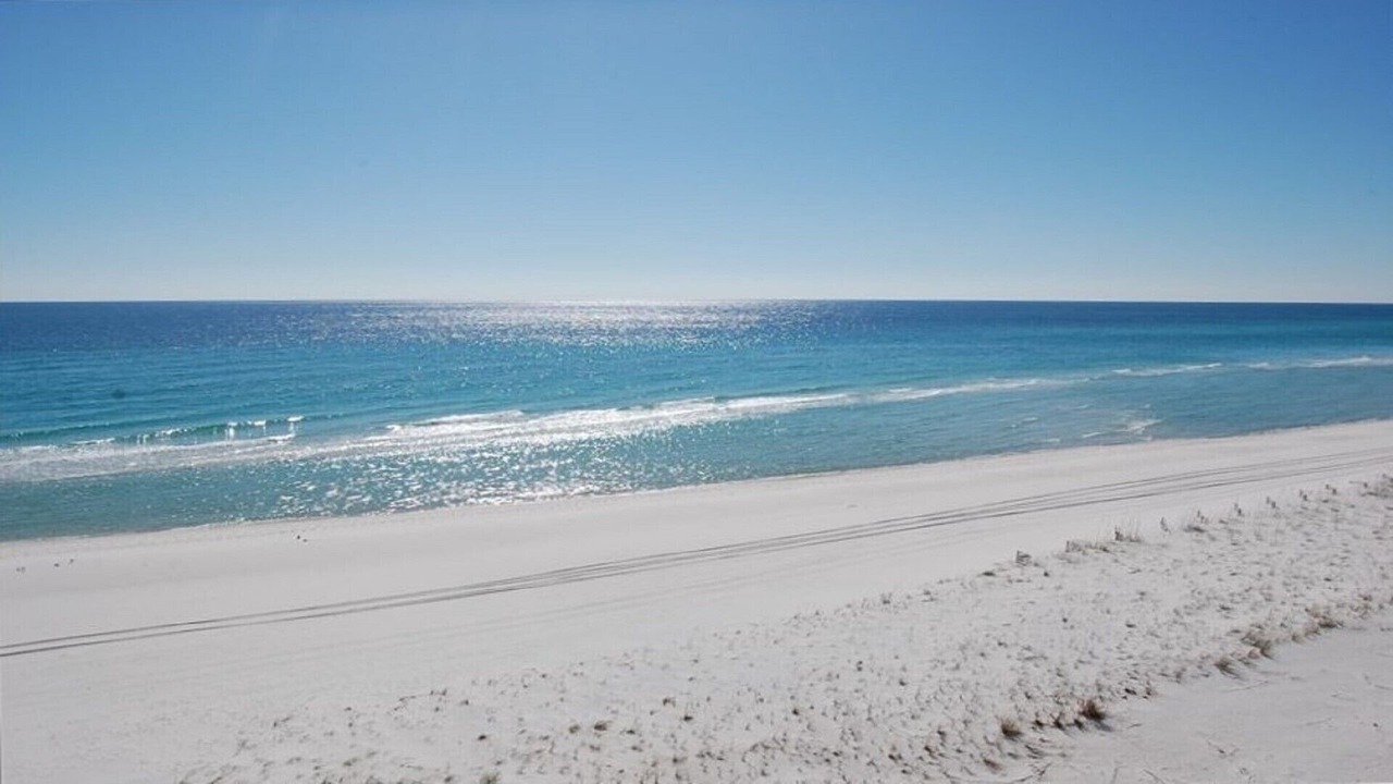 Photo of Others in Pensacola Beach