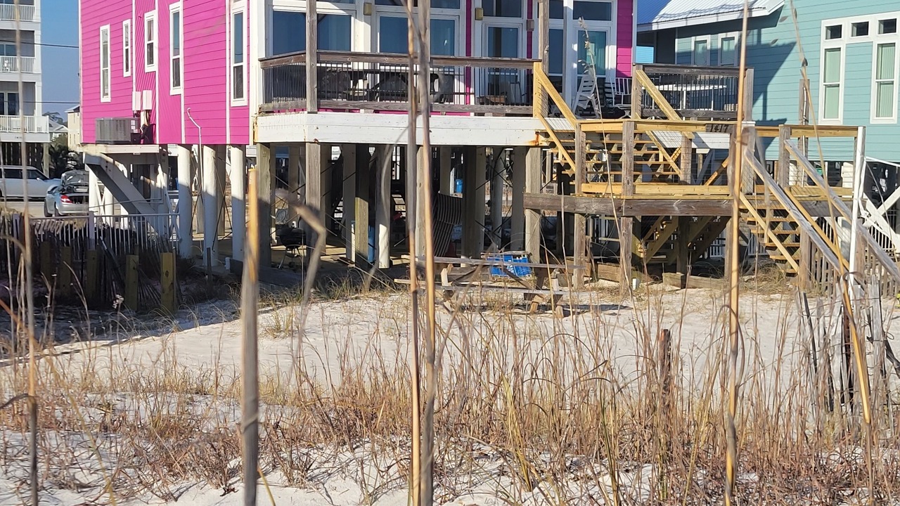 Photo of Others in Gulf Shores