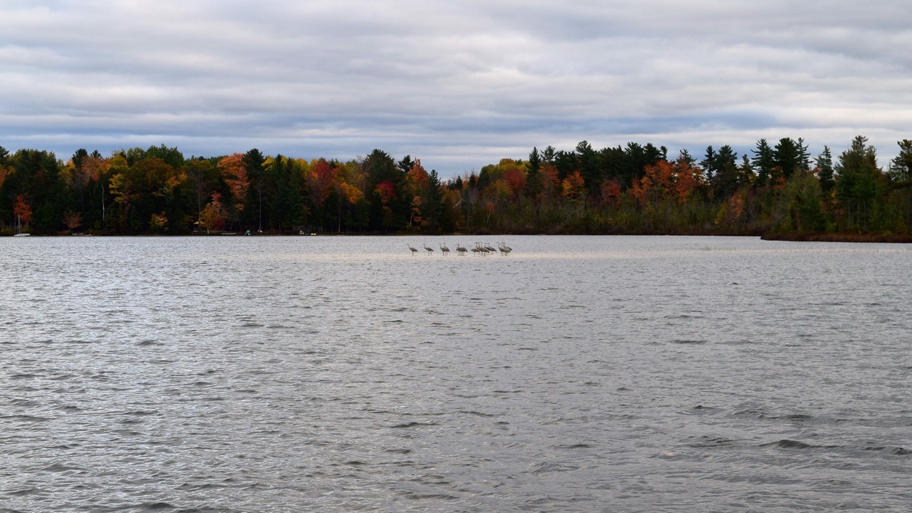 Photo of Outdoor in Traverse City