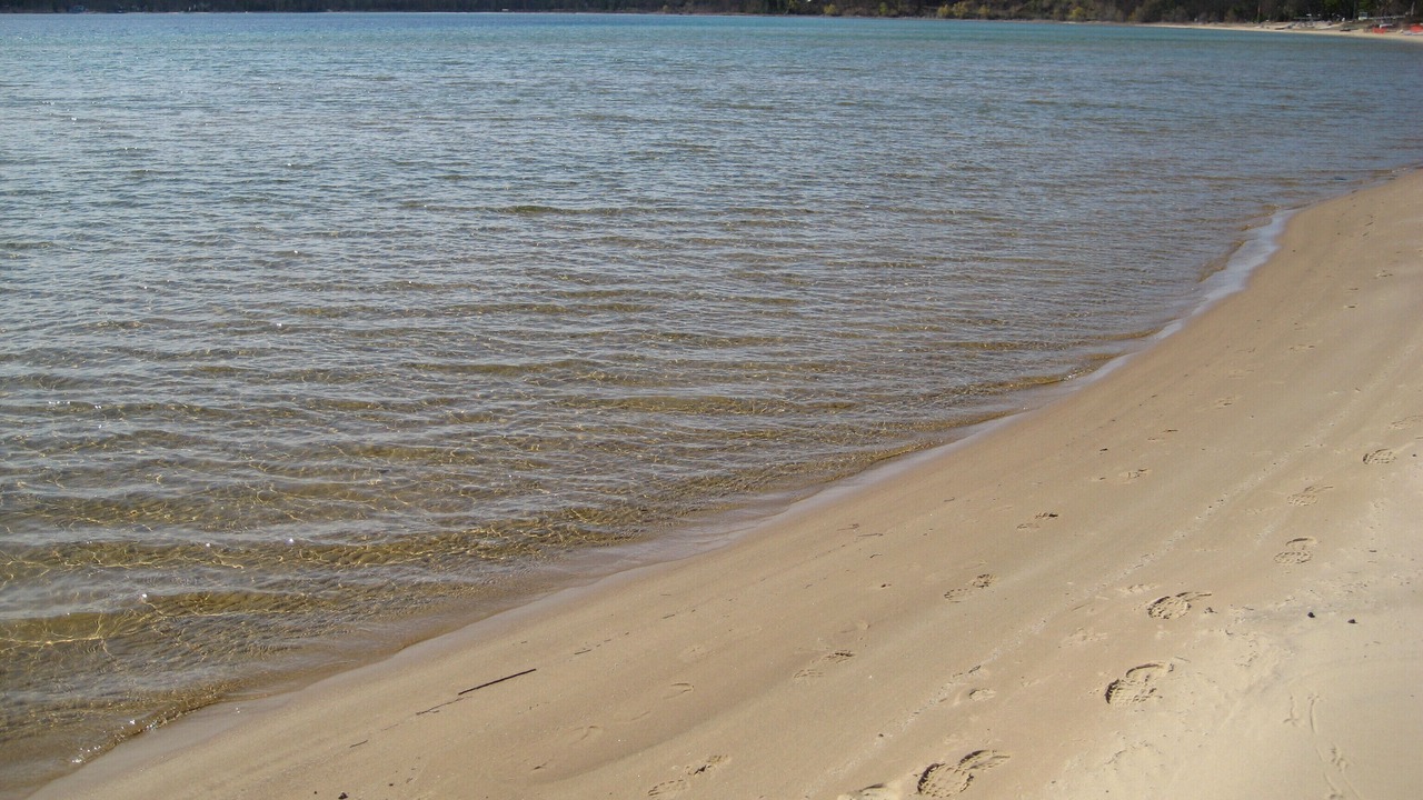 Photo of Others in Traverse City