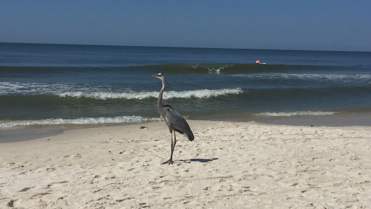 Photo of Others in Fort Morgan