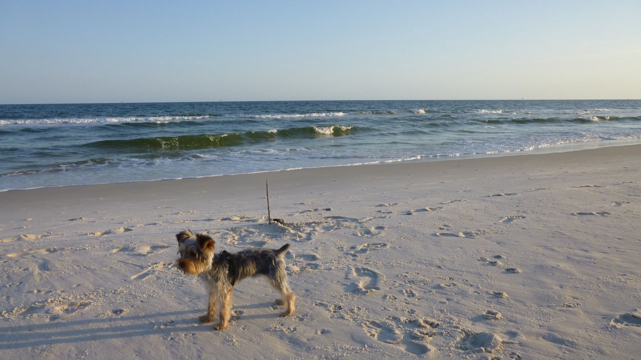 Photo of Others in Fort Morgan