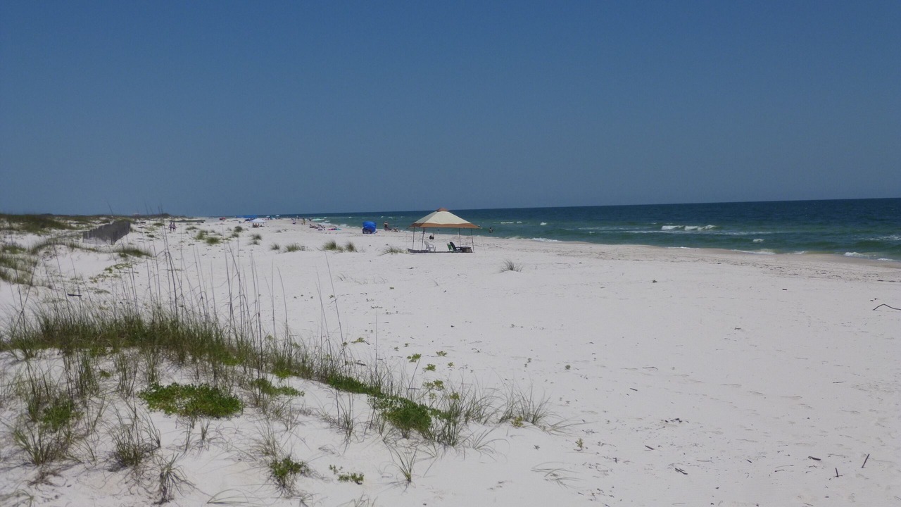 Photo of Others in Fort Morgan