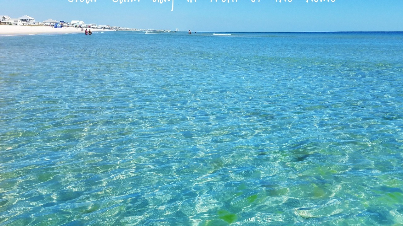 Photo of Others in Fort Morgan