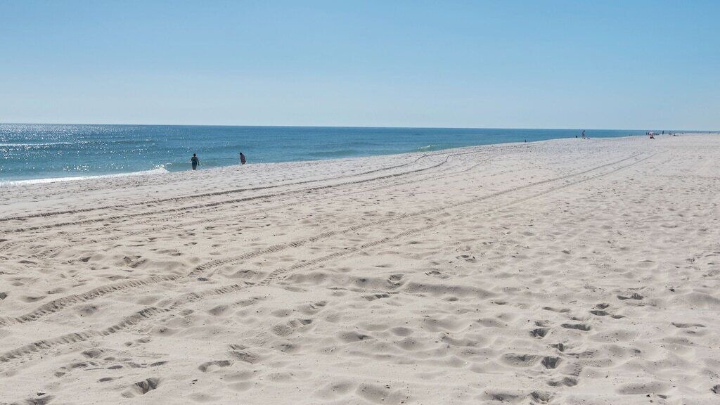 Photo of Others in Pensacola Beach