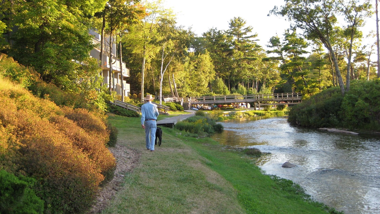 Photo of Others in Maple City