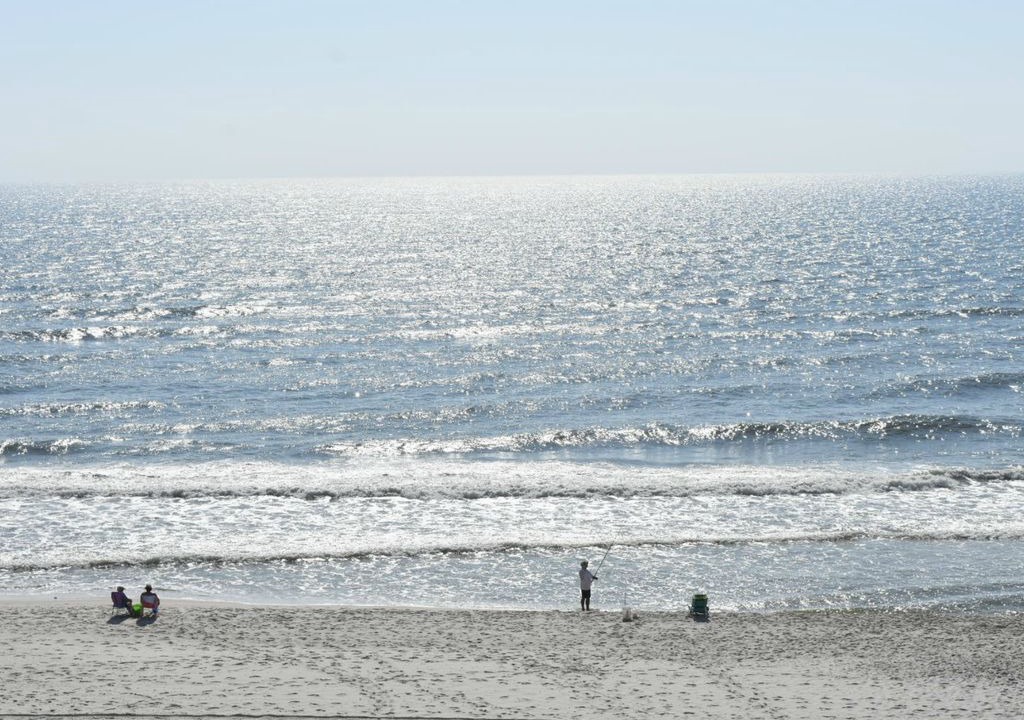 Photo of Others in Gulf Shores