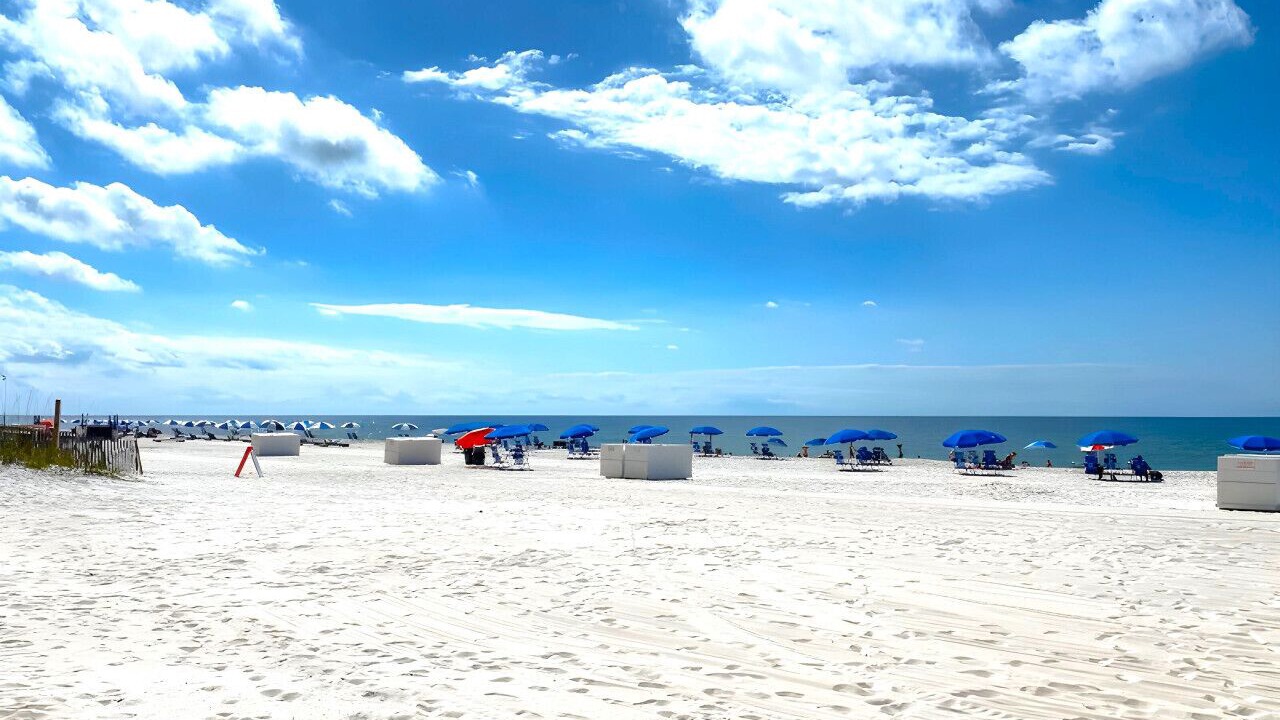 Photo of Others in Orange Beach
