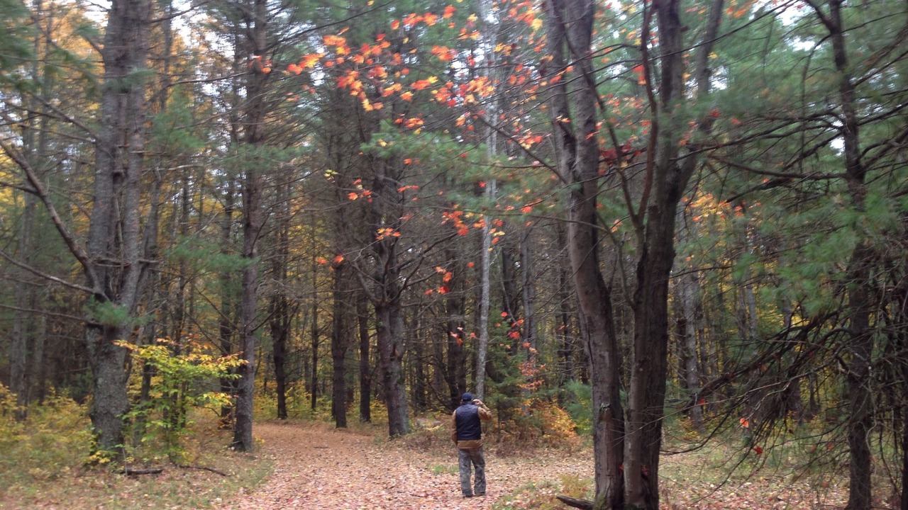 Photo of Outdoor in Mayfield