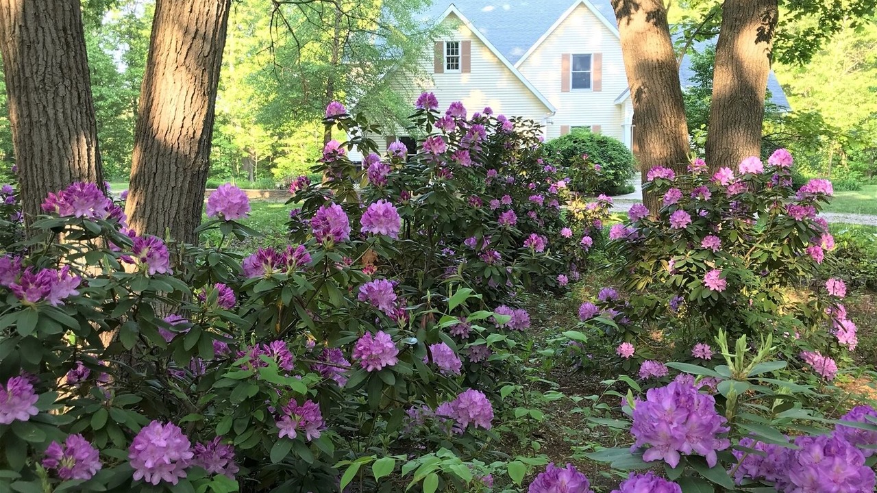Photo of Outdoor in Saugatuck