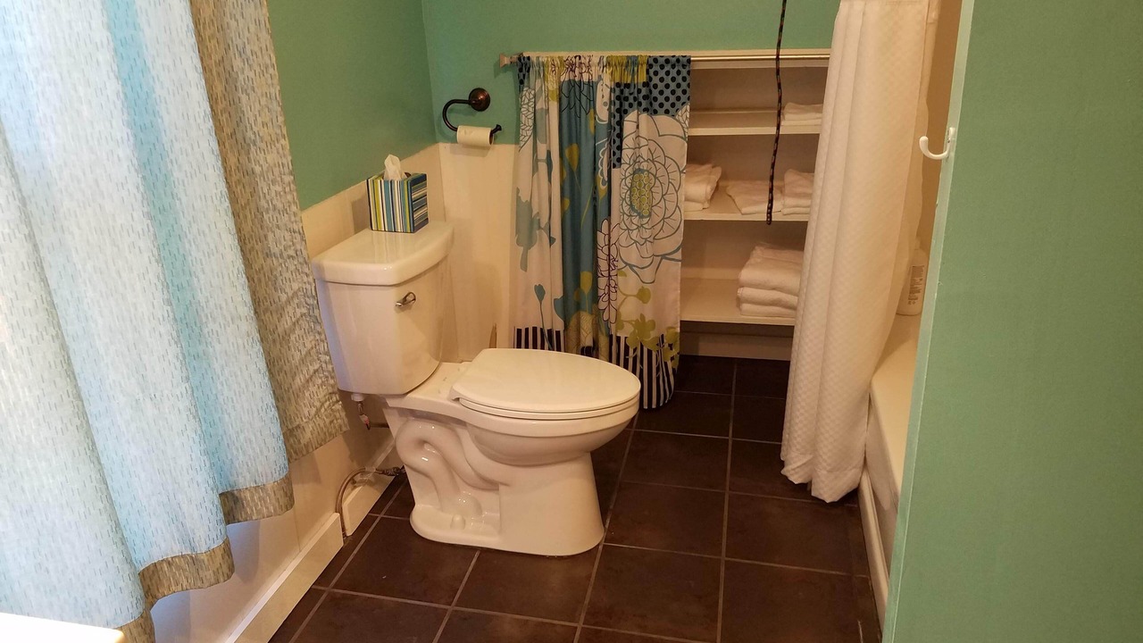 Photo of Bathroom in Lake Linden