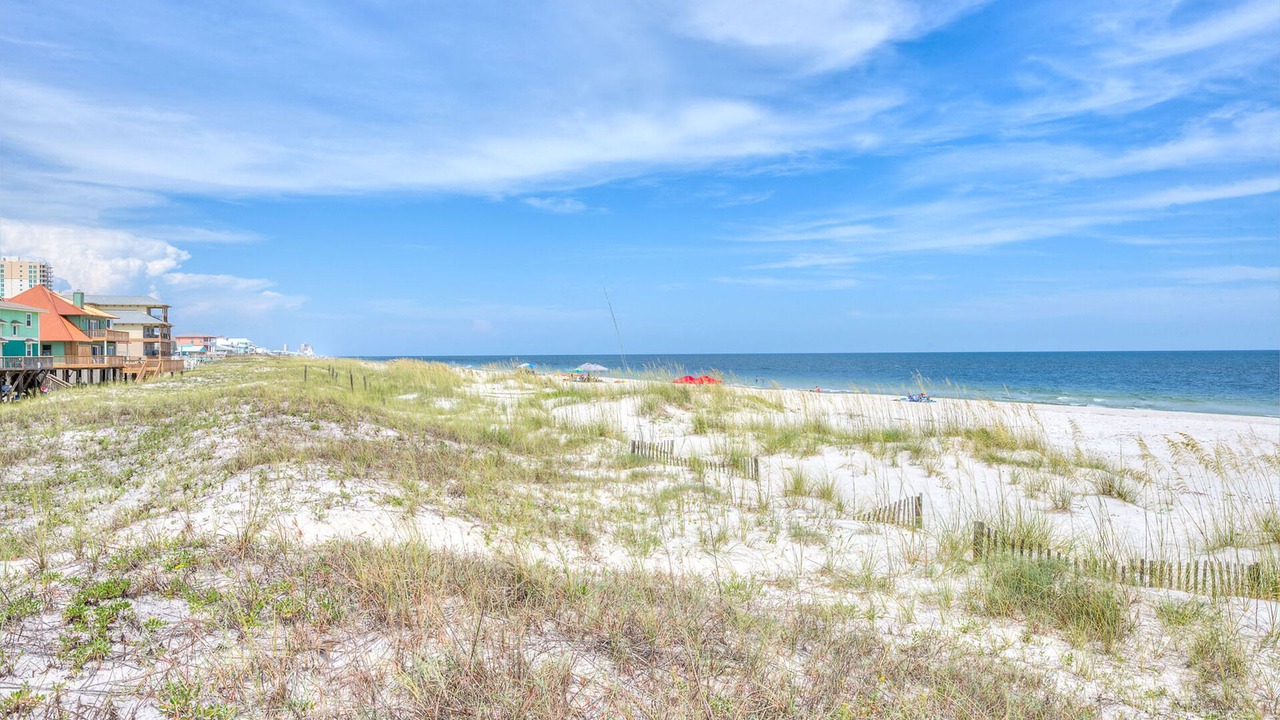 Photo of Others in Gulf Shores