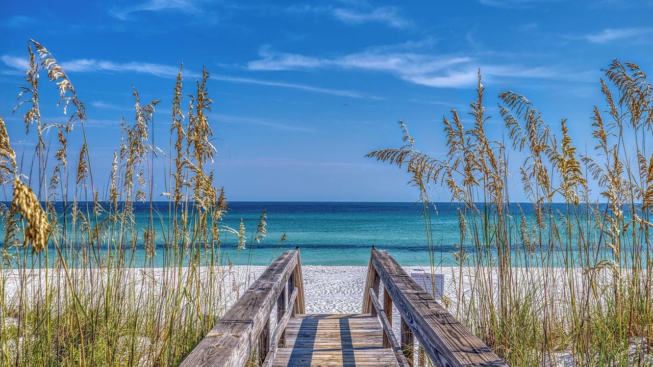 Photo of Others in Pensacola Beach