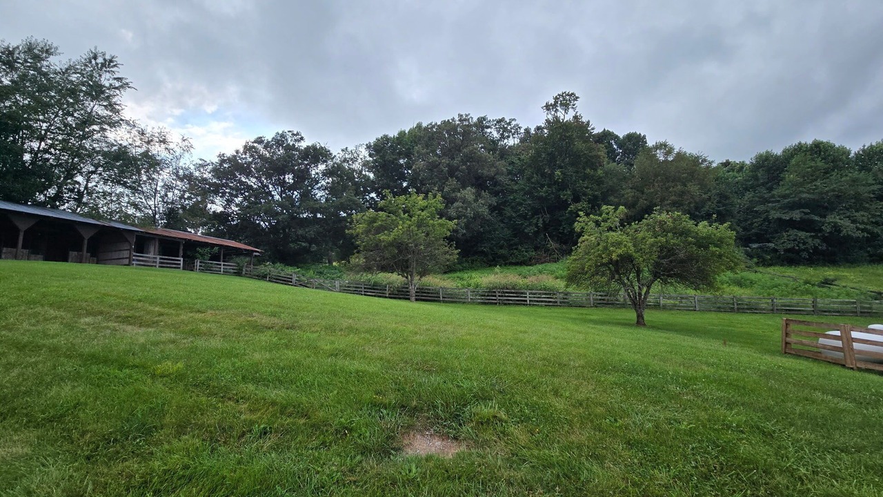 Photo of Outdoor in New Tazewell