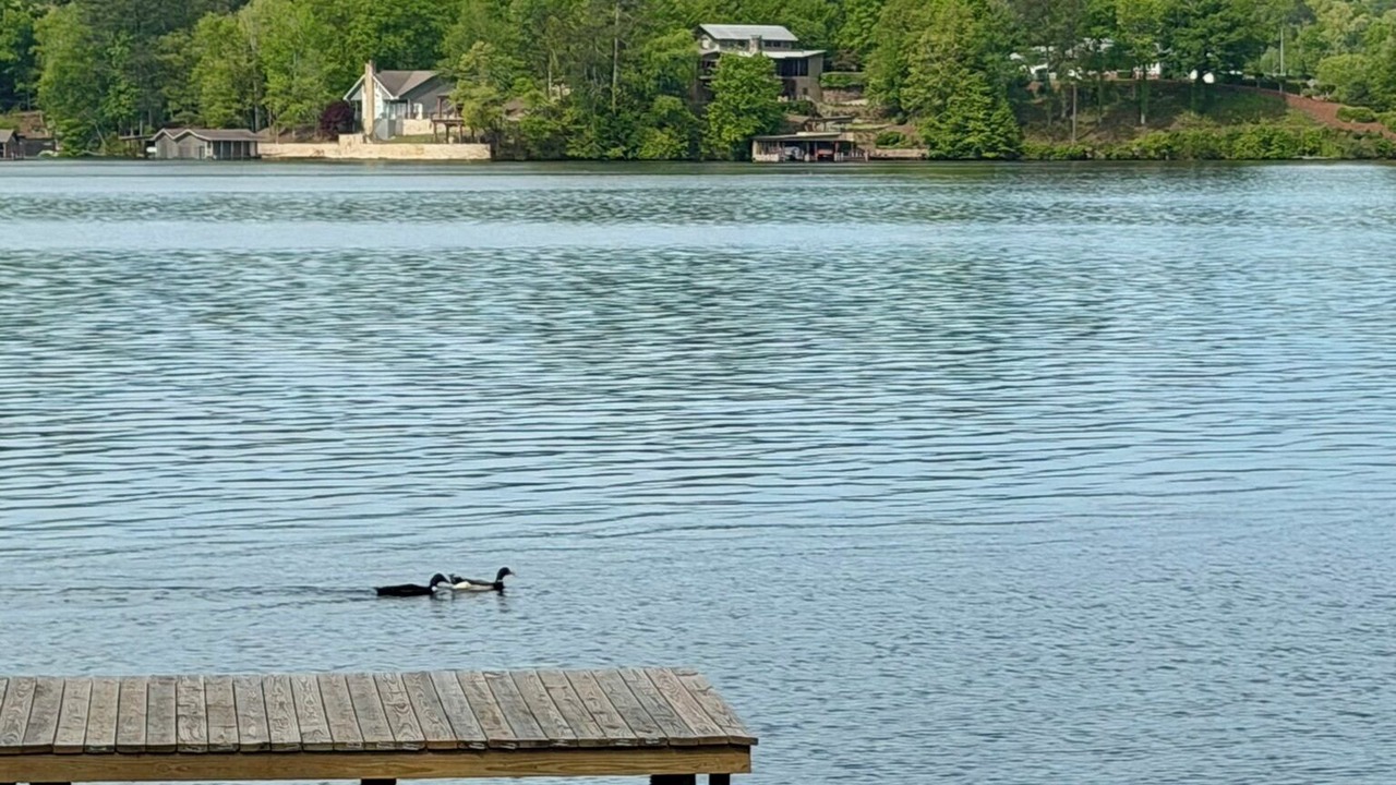 Photo of Others in Rockford