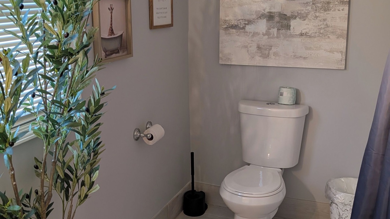 Photo of Bathroom in Romulus